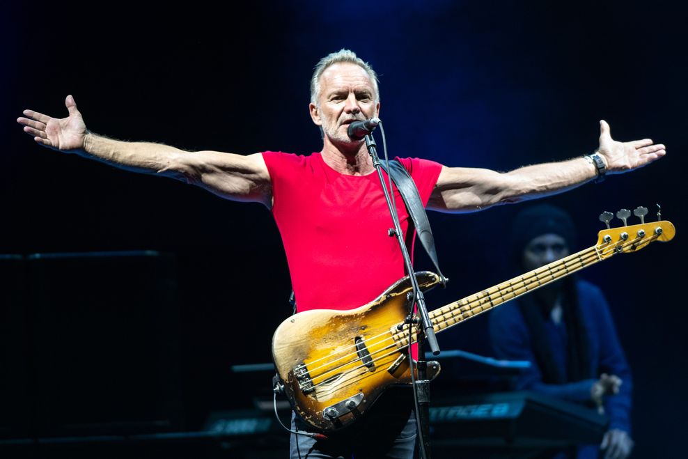 stedalle/Shutterstock