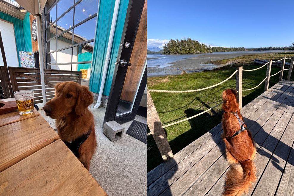 Simran Singh/Daily Hive 