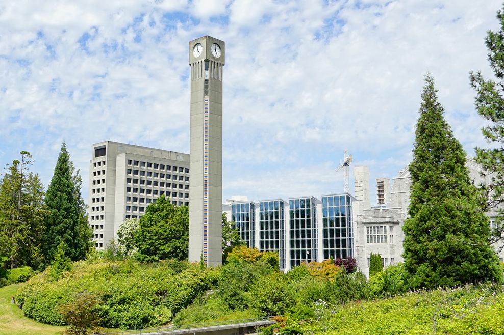 Feng Cheng/Shutterstock