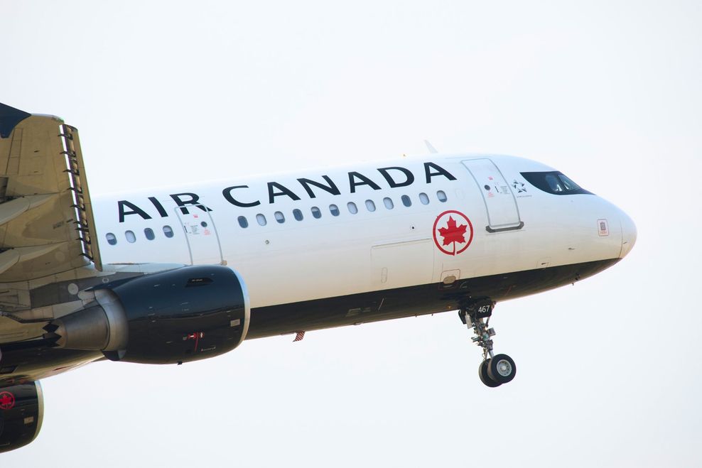 Ross Howey Photo/Shutterstock