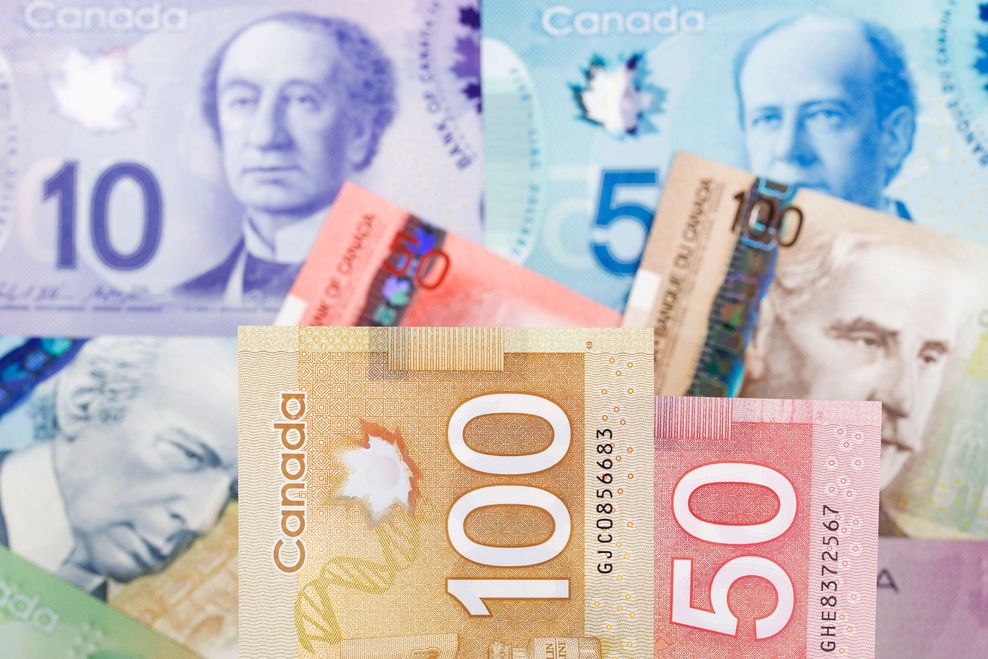 Thamyris Salgueiro/Shutterstock