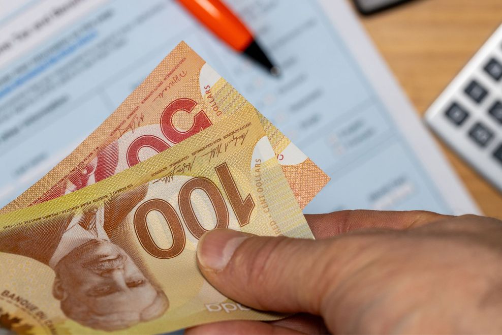 Andrzej Rostek/Shutterstock