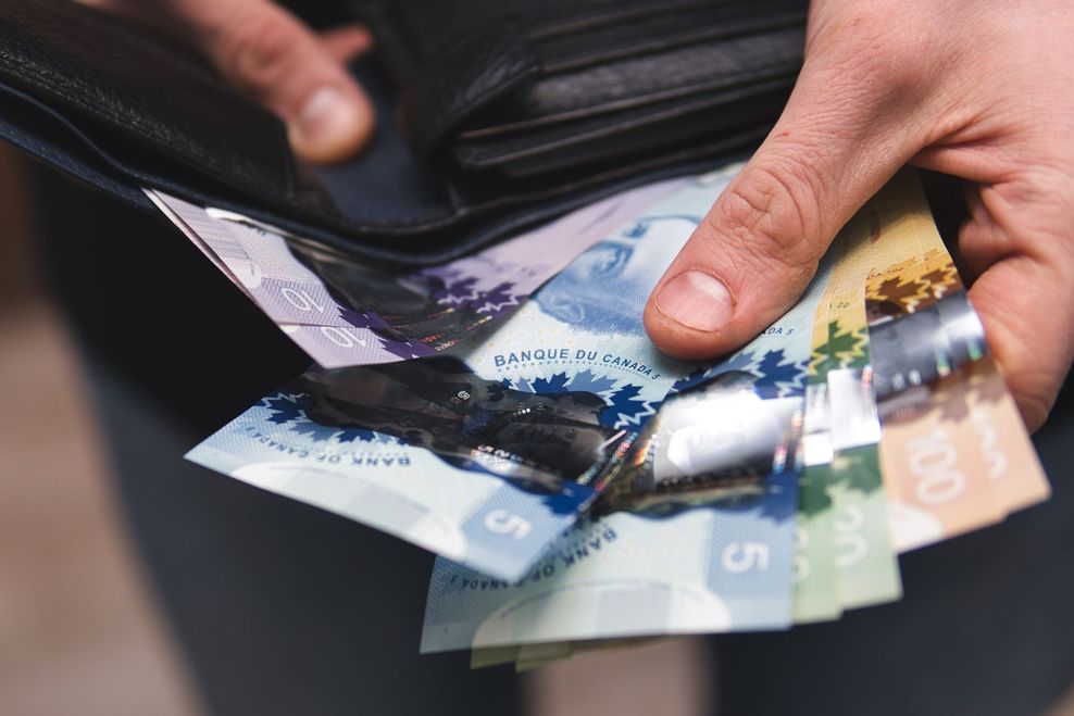 Kamil Zajaczkowski/Shutterstock