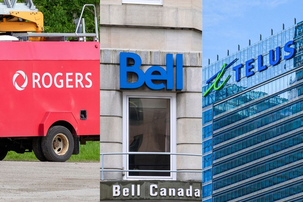 A. Michael Brown/Shutterstock | Elena Berd/Shutterstock | ACHPF/Shutterstock