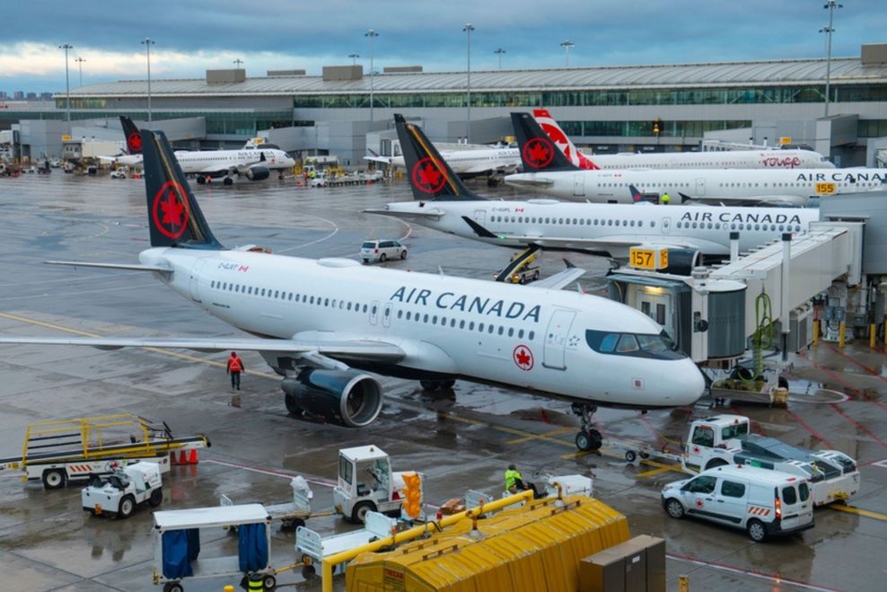 Wangkun Jia/Shutterstock