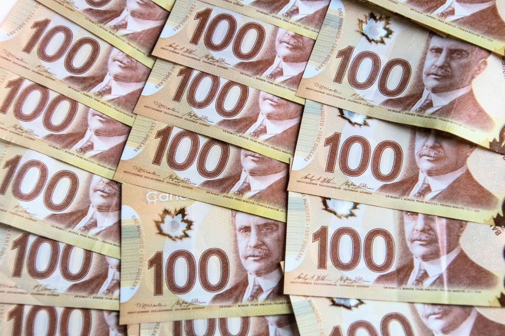 Arlene Grace Evangelista/Shutterstock