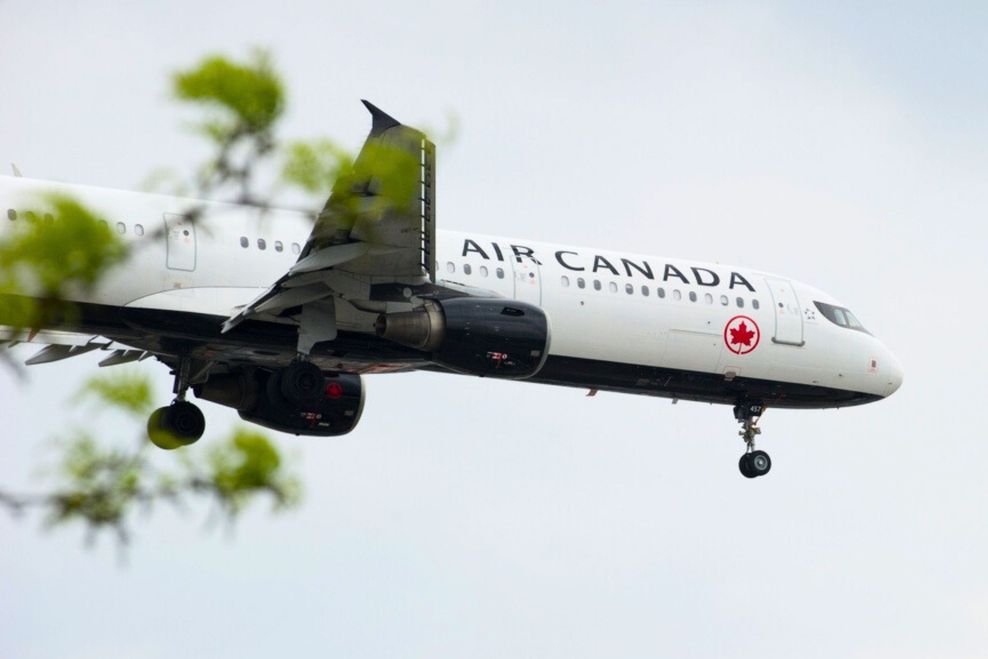 Ross Howey Photo/Shutterstock