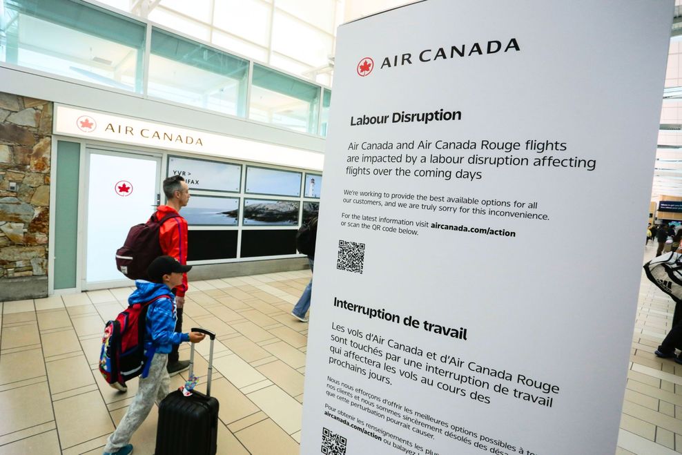 Harrison Ha/Shutterstock