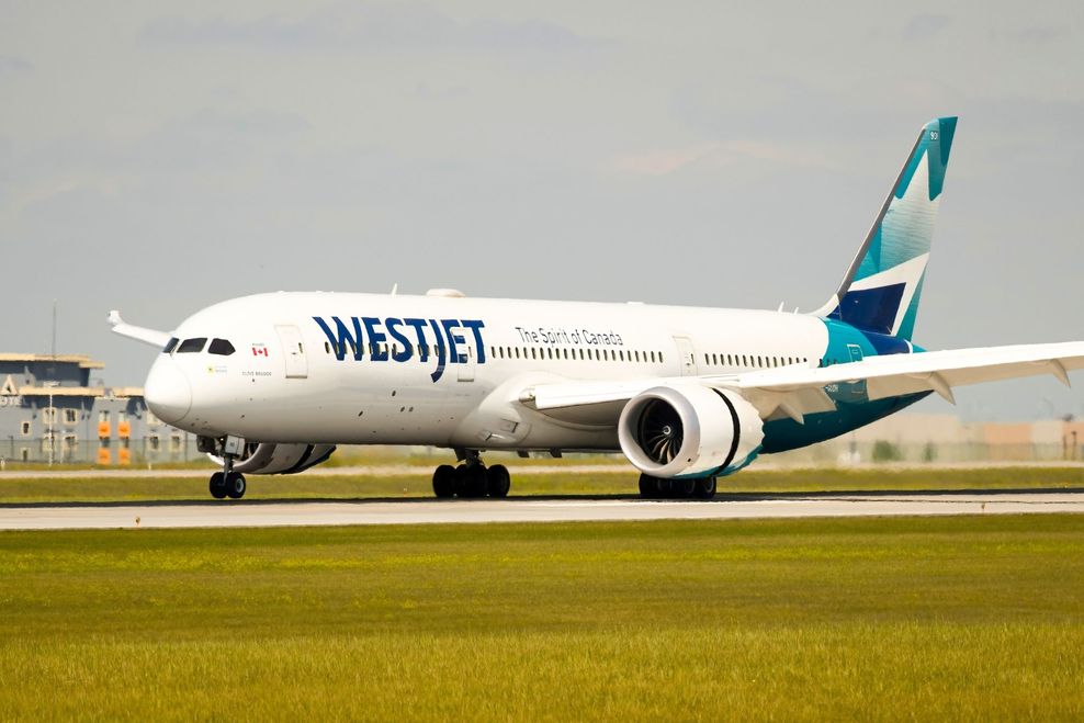 Welshboy2020/Shutterstock