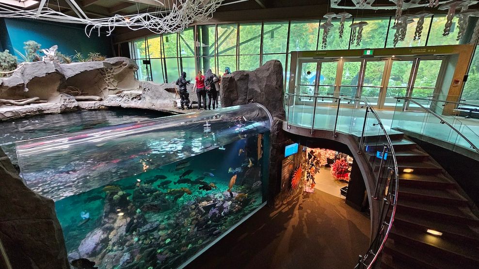 vancouver aquarium