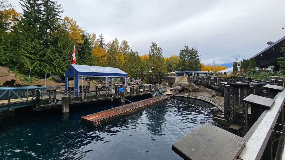 vancouver aquarium