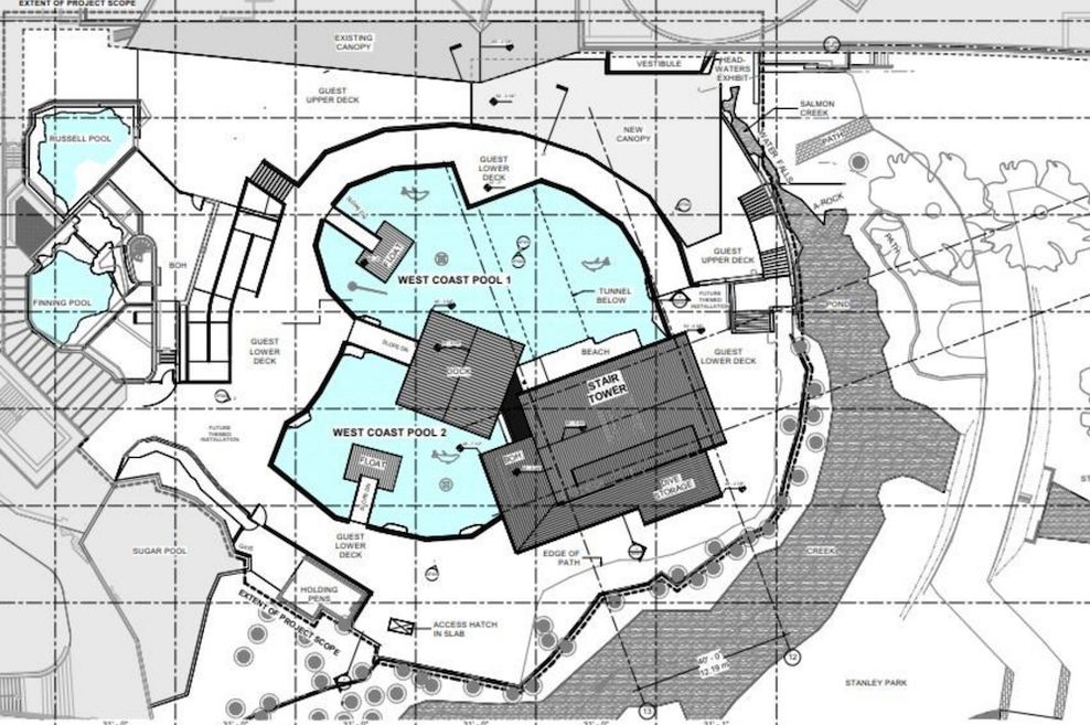 vancouver aquarium bc wild coast pools future