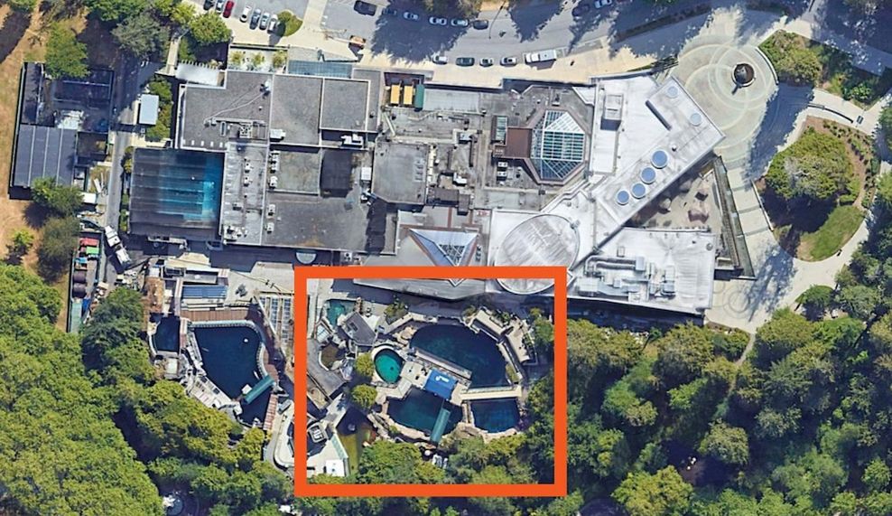 vancouver aquarium bc wild coast pools existing