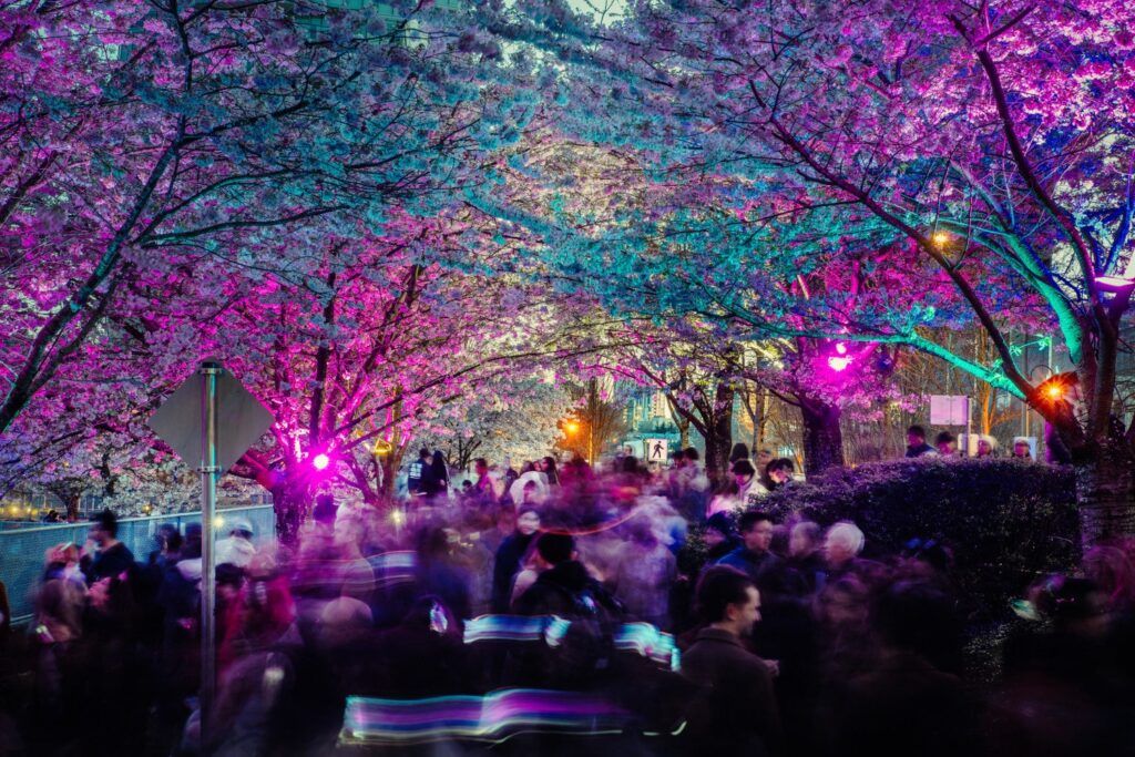 Vancouver Cherry Blossom Festival