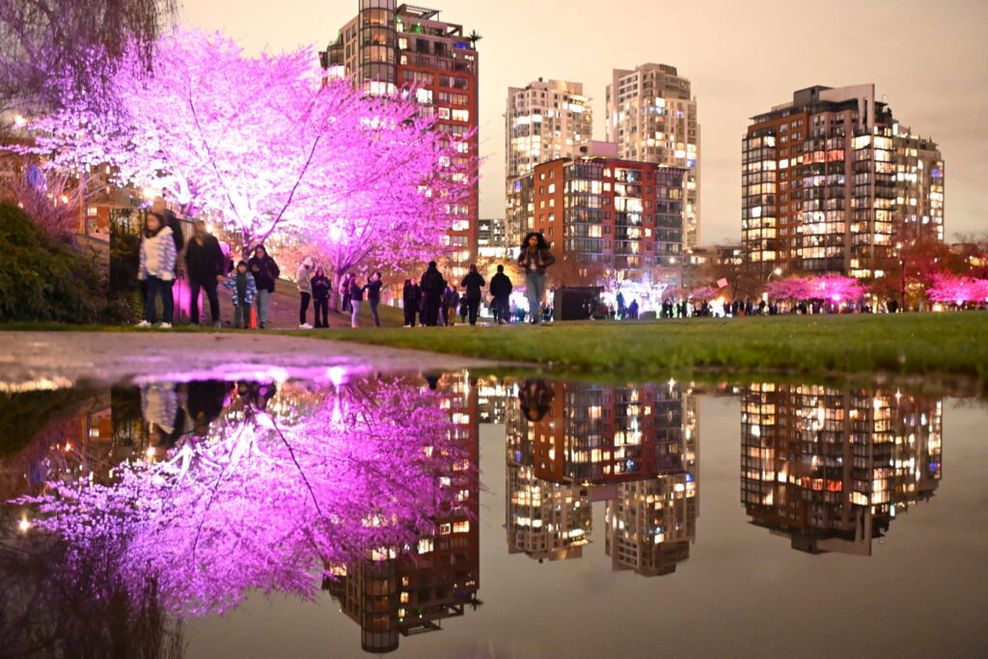 Vancouver Cherry Blossom Festival