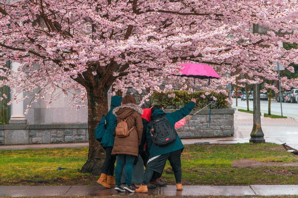 LeonWang/Shutterstock