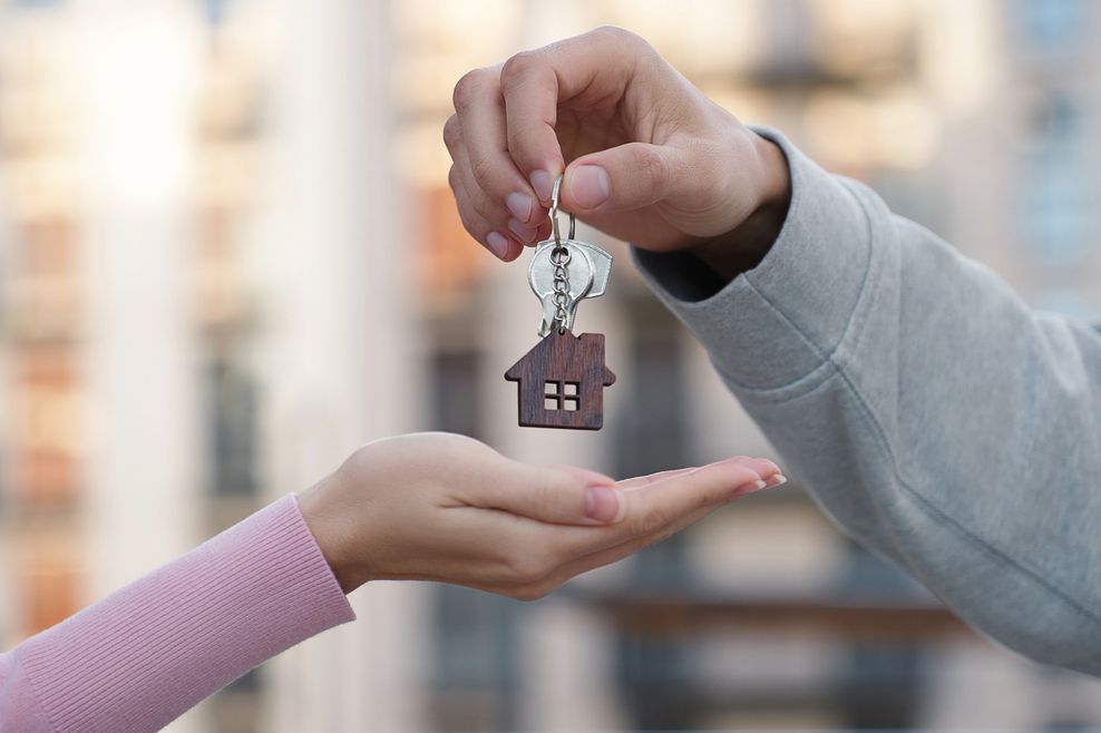 Alive Color Stock/Shutterstock