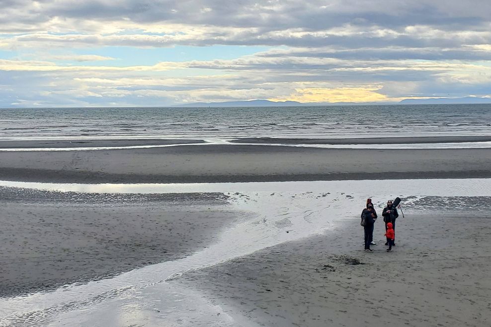 Daniel Chai/Daily Hive