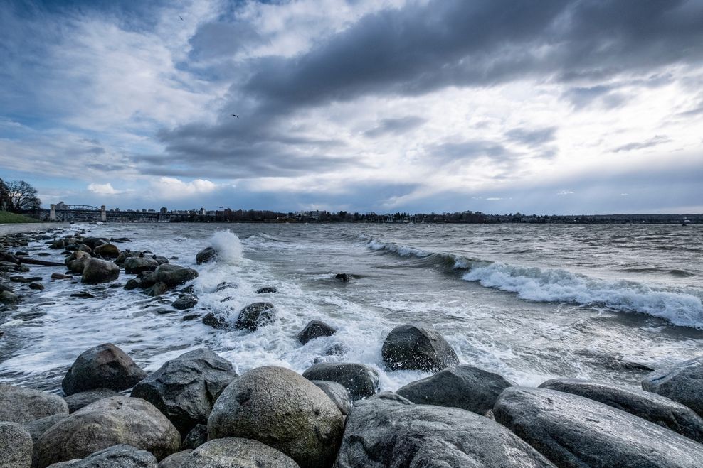 D. Scally/Shutterstock