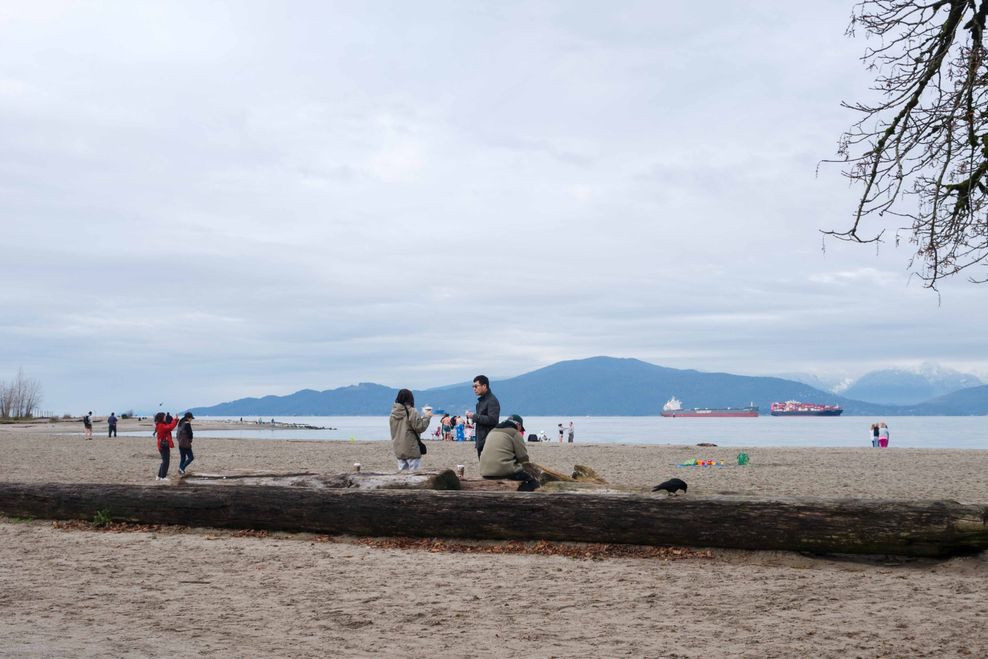 AlbertArt/Shutterstock