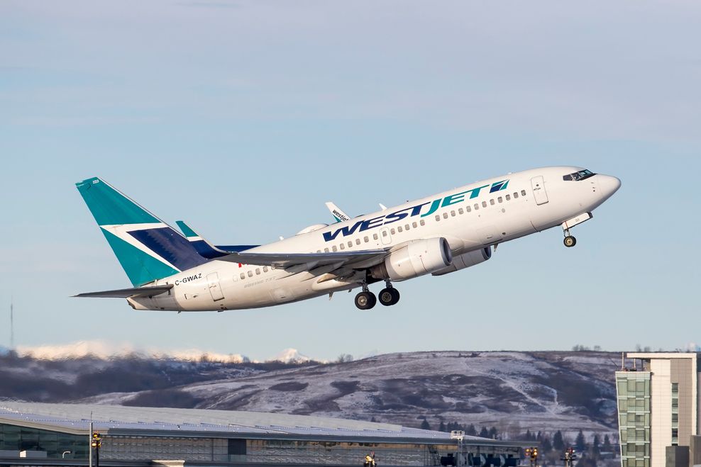 Welshboy2020/Shutterstock