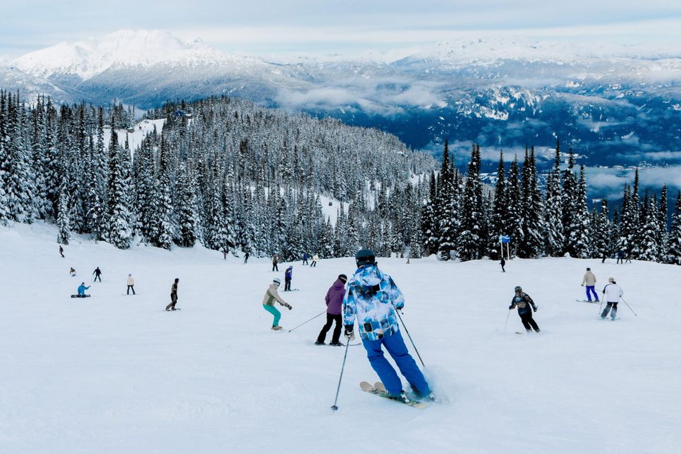 Willyfa/Shutterstock