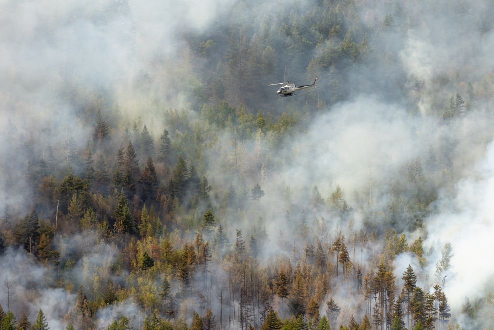 David J. Mitchell/Shutterstock